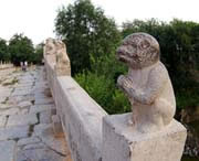 献县天气预报40天