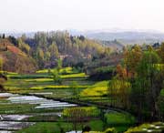 洋县天气预报40天