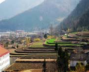 佛坪天气预报40天