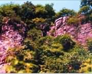 遂平天气预报60天