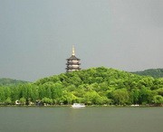 滨江天气预报15天