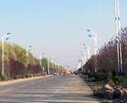 临泉天气预报40天