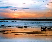 吴川天气预报40天