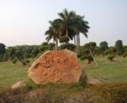 新会天气预报40天